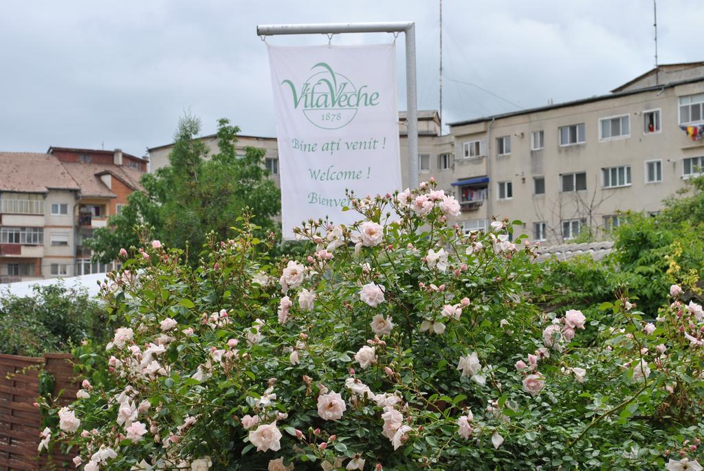 Vila Veche Haţeg 外观 照片